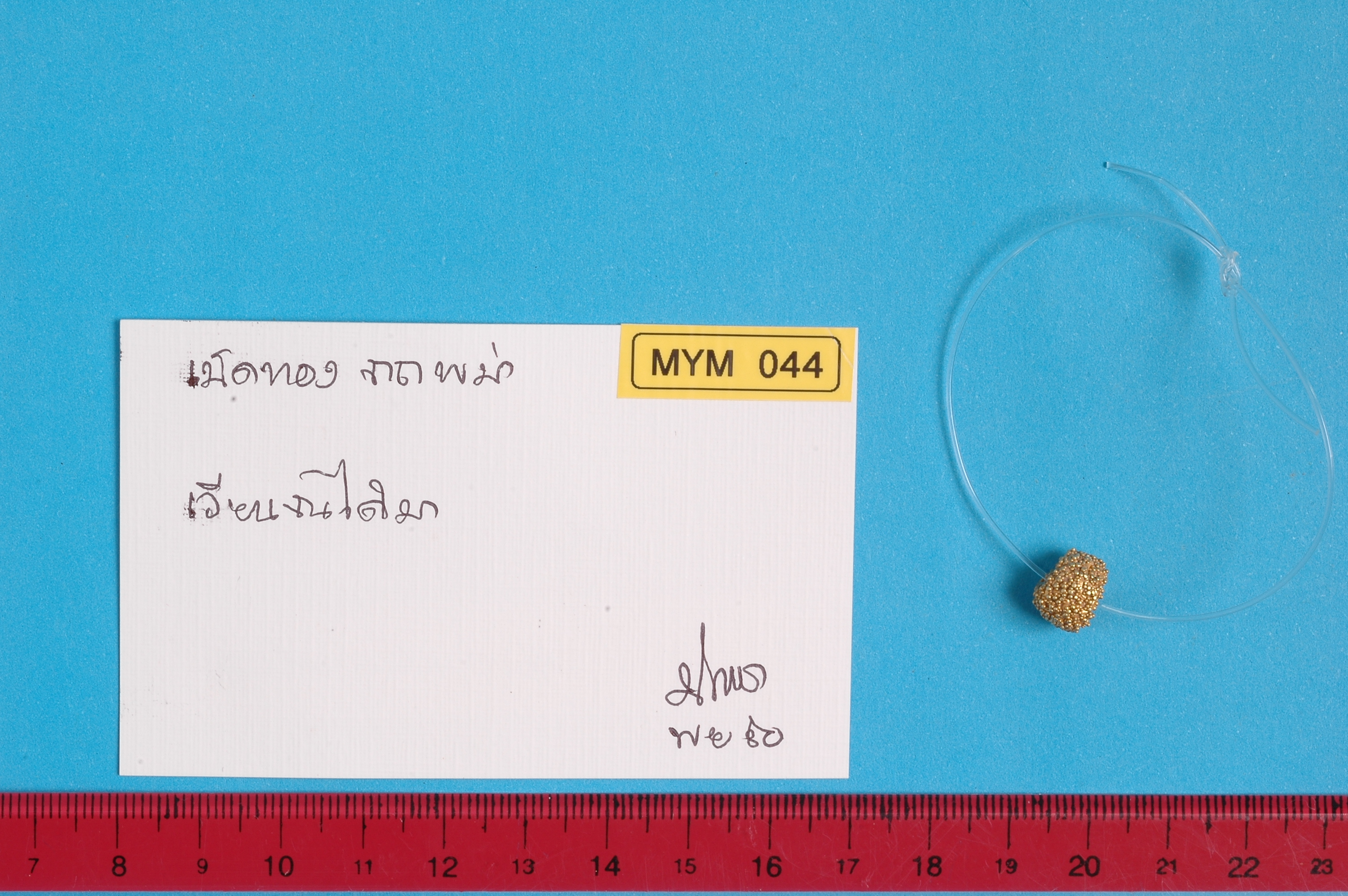 MYM 044.jpg